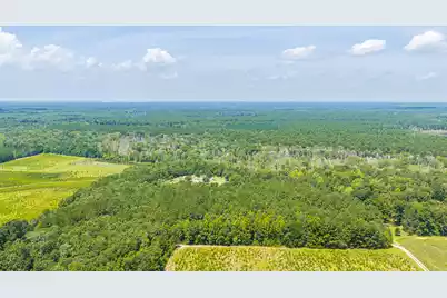 189 Cupid Court, Eutawville, SC 29048 - Photo 57
