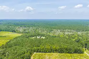 189 Cupid Ct, Eutawville, SC 29048 - Photo 57