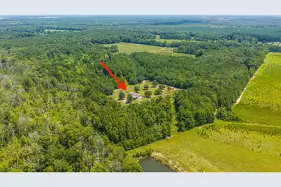 189 Cupid Court, Eutawville, SC 29048 - Photo 59