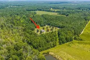 189 Cupid Ct, Eutawville, SC 29048 - Photo 59
