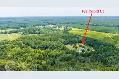189 Cupid Court, Eutawville, SC 29048 - Photo 61