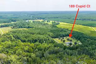 189 Cupid Ct, Eutawville, SC 29048 - Photo 61