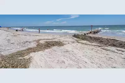 218 Palmetto Boulevard, Edisto Island, SC 29438 - Photo 35