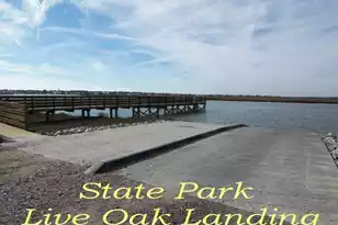 218 Palmetto Blvd, Edisto Island, SC 29438 - Photo 49