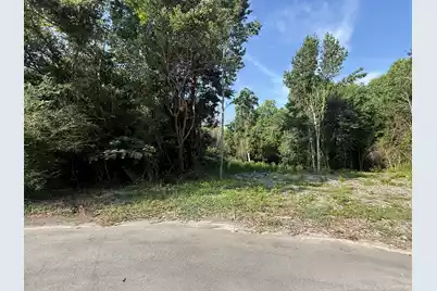 1402 Loblolly, Manning, SC 29102 - Photo 3