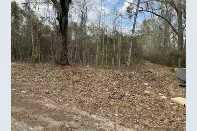 5510 Mauss Hill Road, Hollywood, SC 29449 - Photo 1