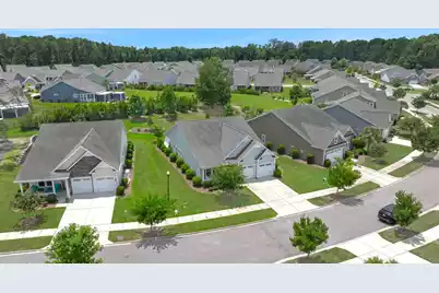 3053 Cross Vine Lane, Summerville, SC 29483 - Photo 3