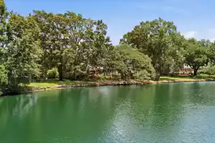 2633 Marsh Creek Dr, Charleston, SC 29414 - Photo 53