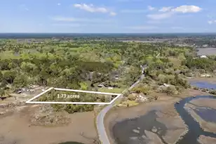00 Hwy 165, Meggett, SC 29449 - Photo 3