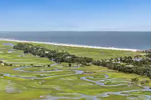 866 Blackbear Dr, Edisto Island, SC 29438 - Photo 45