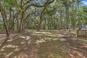 866 Blackbear Dr, Edisto Island, SC 29438 - Photo 33