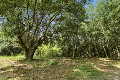 0 Holly Creek Road #Lot 4A, Charleston, SC 29412 - Photo 13