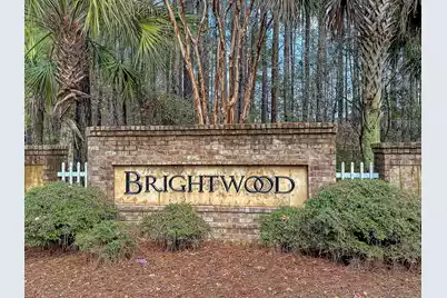 161 Brightwood Drive, Huger, SC 29450 - Photo 35