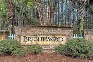 161 Brightwood Dr, Huger, SC 29450 - Photo 35