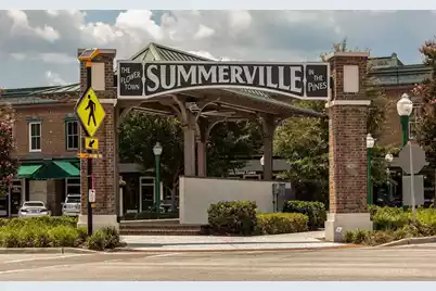 205 Tea Farm Road, Summerville, SC 29483 - Photo 67
