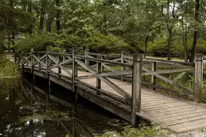 205 Tea Farm Road, Summerville, SC 29483 - Photo 69