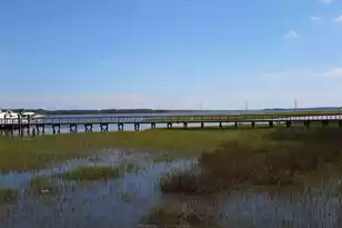 1563 Headquarters Plantation Dr, Johns Island, SC 29455 - Photo 113