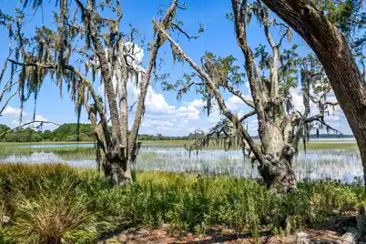 6258 Josie Ridge Road, Wadmalaw Island, SC 29487 - Photo 17