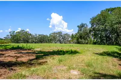 6258 Josie Ridge Road, Wadmalaw Island, SC 29487 - Photo 11