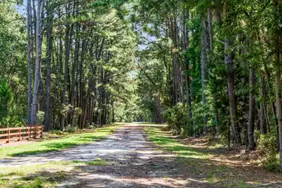 6258 Josie Ridge Road, Wadmalaw Island, SC 29487 - Photo 35
