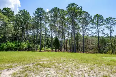 6258 Josie Ridge Road, Wadmalaw Island, SC 29487 - Photo 29