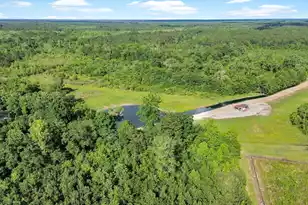13959 Cottageville Hwy, Cottageville, SC 29435 - Photo 3