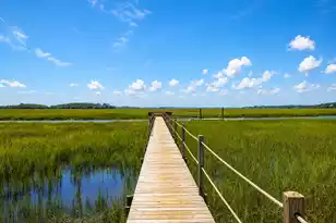 2125 Landfall Way, Seabrook Island, SC 29455 - Photo 53