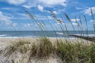 134 Palmetto Blvd, Edisto Island, SC 29438 - Photo 3
