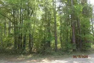0 Old Arrowhead Rd, Huger, SC 29450 - Photo 1