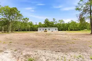 2919 Jones Swamp Rd, Walterboro, SC 29488 - Photo 3