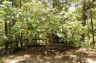 6370 Shilelagh Oaks Pkwy, Ravenel, SC 29470 - Photo 65