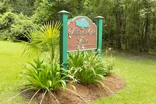 6370 Shilelagh Oaks Pkwy, Ravenel, SC 29470 - Photo 1