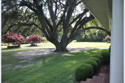 2899 Wire Road, Saint George, SC 29477 - Photo 69