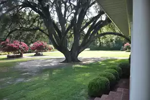 2899 Wire Rd, Saint George, SC 29477 - Photo 69