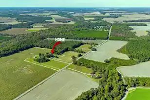 294 Nates Store Rd, Cameron, SC 29030 - Photo 3