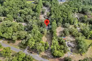 7971 Hwy 162, Hollywood, SC 29449 - Photo 47