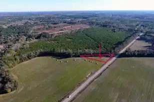 0 Rocks Pond Road #Lot X, Eutawville, SC 29048 - Photo 1