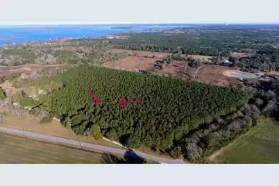 0 Rocks Pond Road #Lot F, Eutawville, SC 29048 - Photo 1