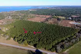 0 Rocks Pond Road #Lot F, Eutawville, SC 29048 - Photo 1