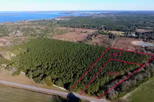 0 Rocks Pond Road #Lot K, Eutawville, SC 29048 - Photo 1