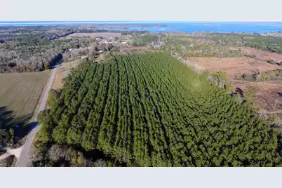 0 Rocks Pond Road #Lot L, Eutawville, SC 29048 - Photo 3