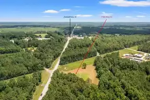 7548 Hwy 41, Jamestown, SC 29453 - Photo 3