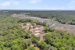 1130 Theodore Brunson Rd, Awendaw, SC 29429 - Photo 5