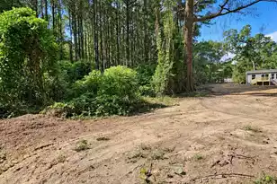 621 Gaillard St, Eutawville, SC 29048 - Photo 9