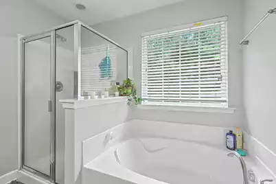 409 Fetterbush Drive, Moncks Corner, SC 29461 - Photo 29