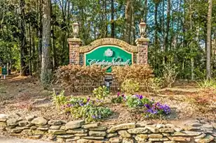 3207 Heathland Way, Mount Pleasant, SC 29466 - Photo 41
