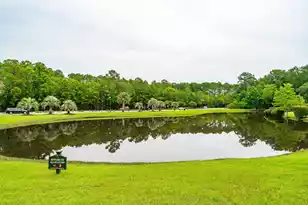 1527 Capel St, Mount Pleasant, SC 29466 - Photo 113