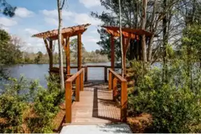 190 Sea Oats Street, Summerville, SC 29485 - Photo 11