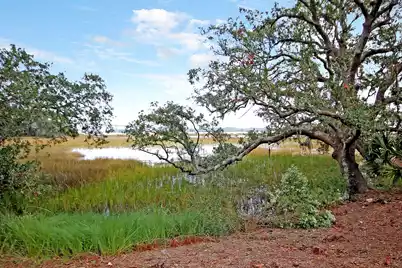 2229 Daniel Island Drive, Charleston, SC 29492 - Photo 55