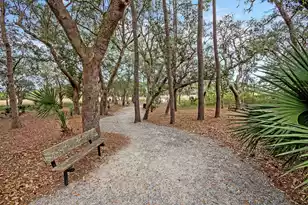 2229 Daniel Island Dr, Charleston, SC 29492 - Photo 71